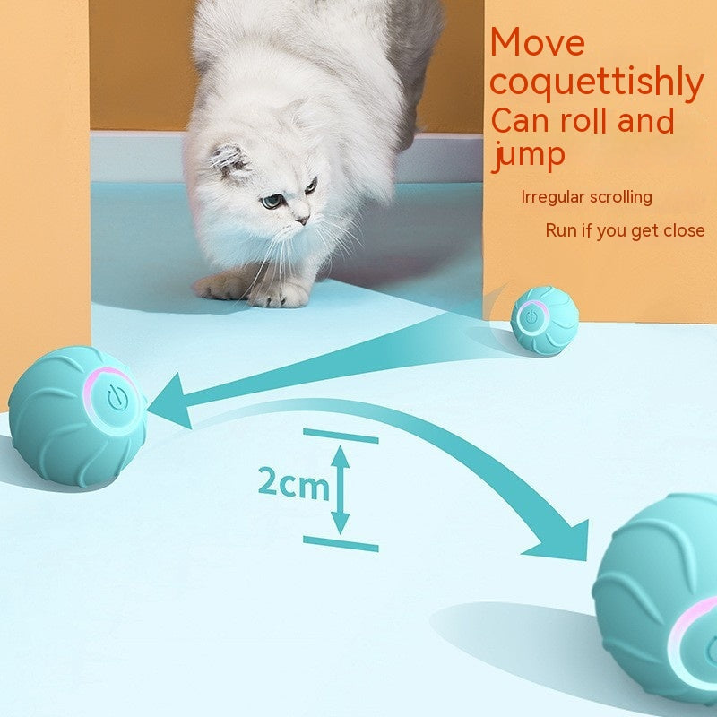 Smart Cat Toys Rolling Ball Pet Owner Interactive Pets