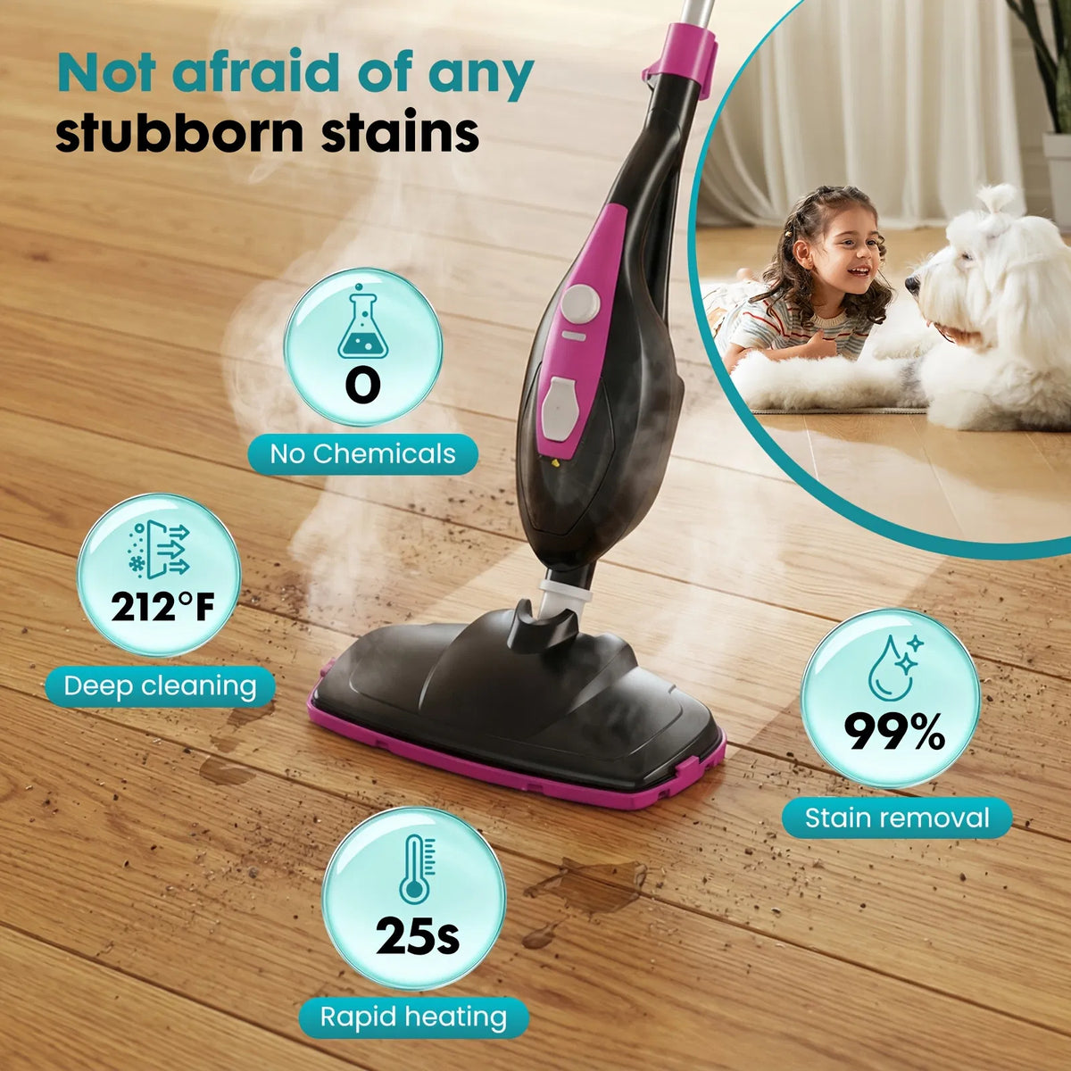 10-in-1 Steam Mop