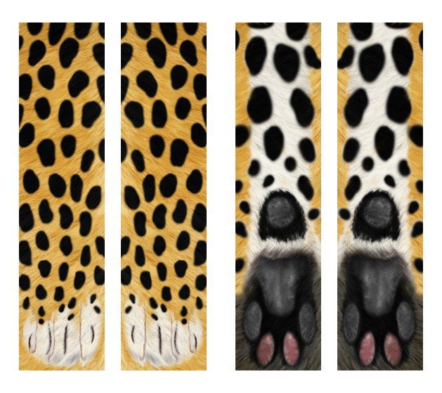 3D Animal Paw Socks Cute Cat Claws Unisex Long