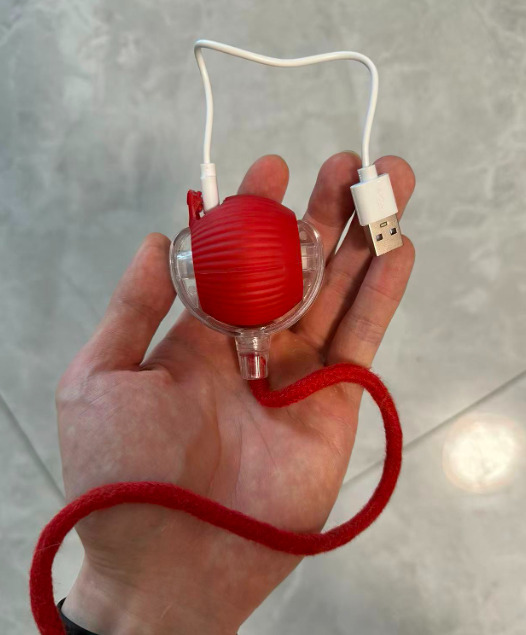 Rechargeable Rolling Pet Toy with Rope Tail