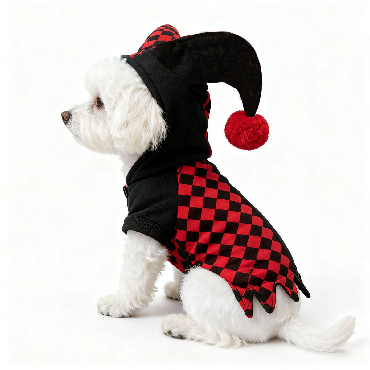 Halloween Dog Clown Costume with Checkered Jacket