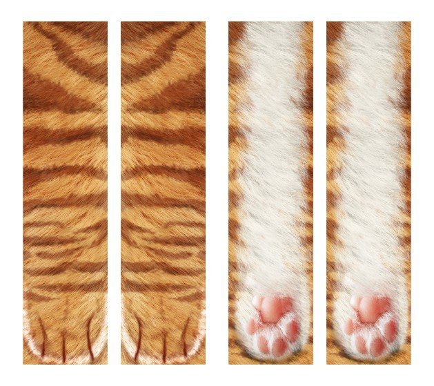 3D Animal Paw Socks Cute Cat Claws Unisex Long