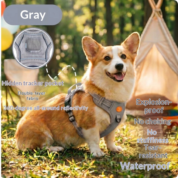 Reflective No-Pull Dog Harness & Leash Set