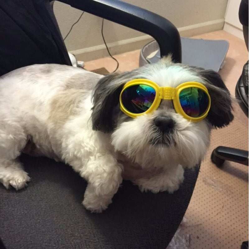 Dog Sunglasses Foldable Medium Size Waterproof Goggles UV