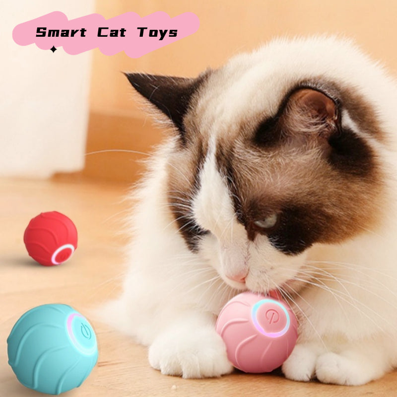 Smart Cat Toys Rolling Ball Pet Owner Interactive Pets