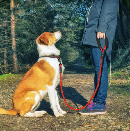 Reflective Dog Leash Nylon Pet Rope For Small Medium Large