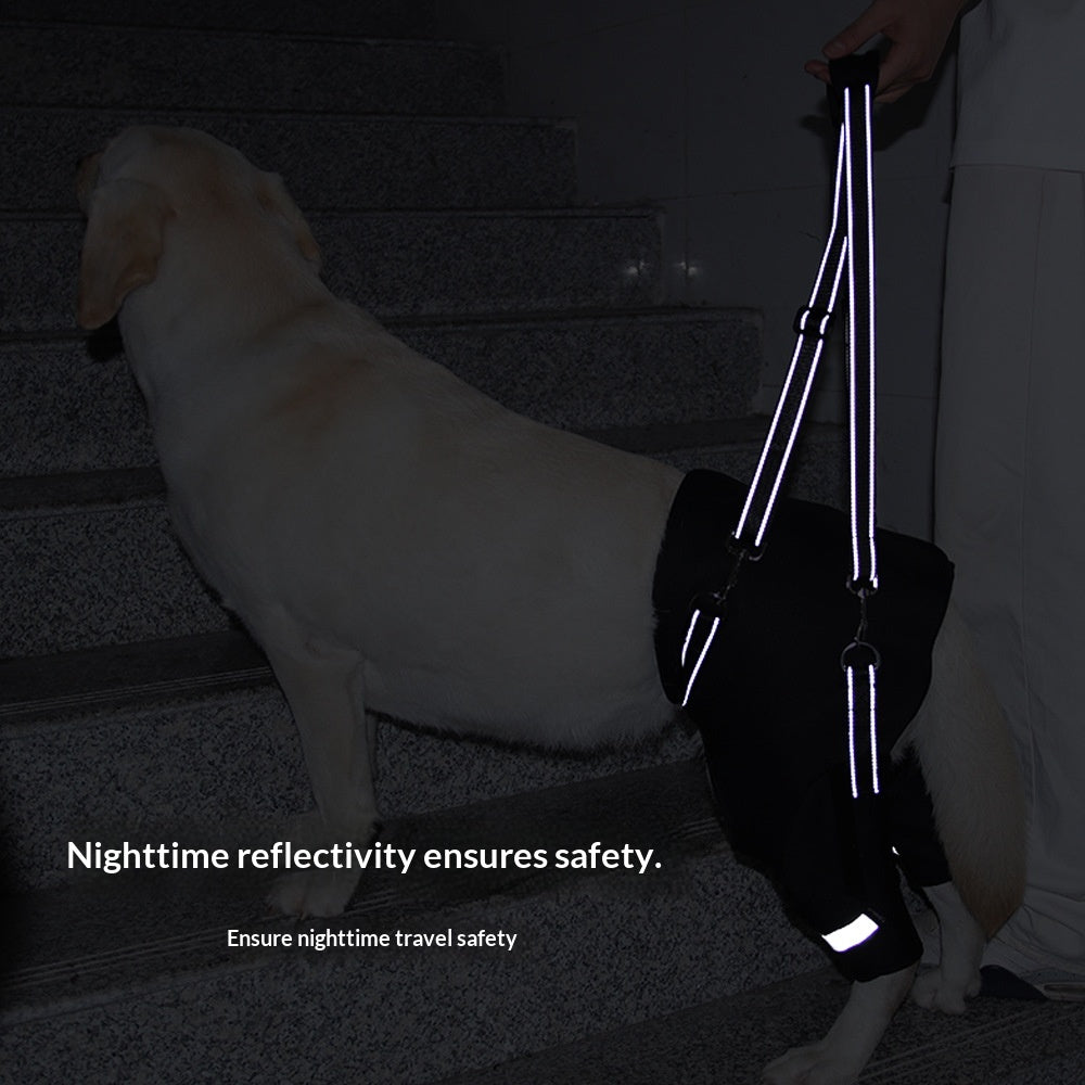 Rear-Leg Support Harness for Senior Dogs