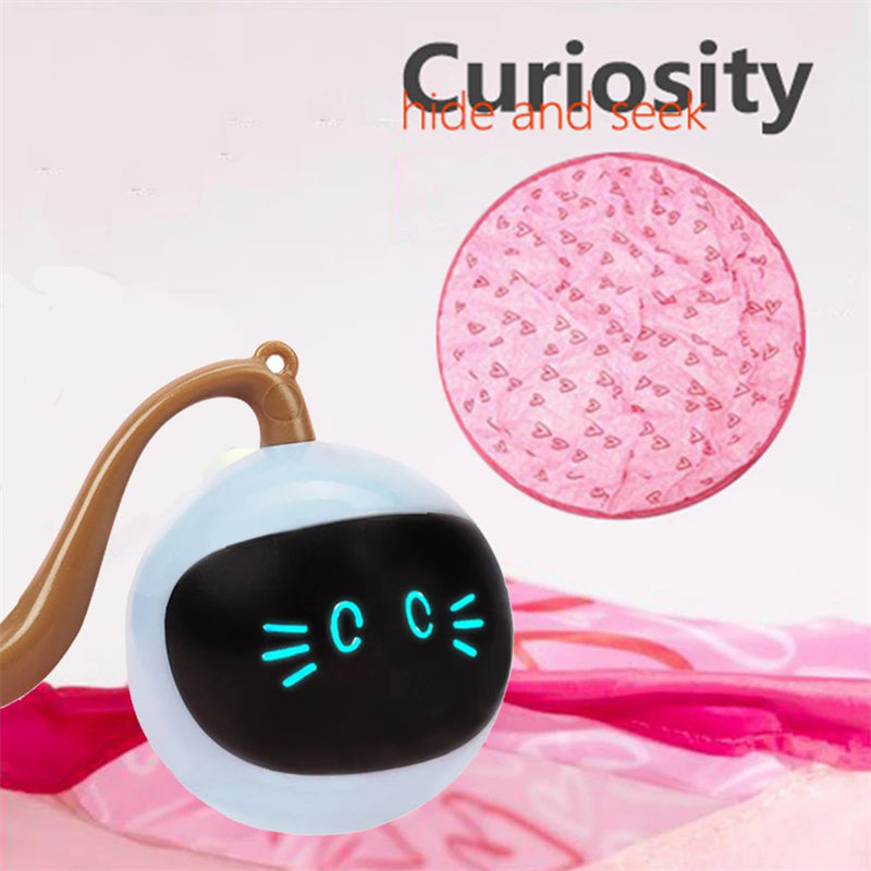 Automatic Funny Cat Toys Electric Motion Undercover Moving