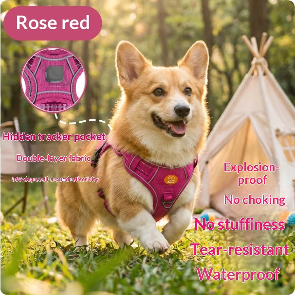 Reflective No-Pull Dog Harness & Leash Set