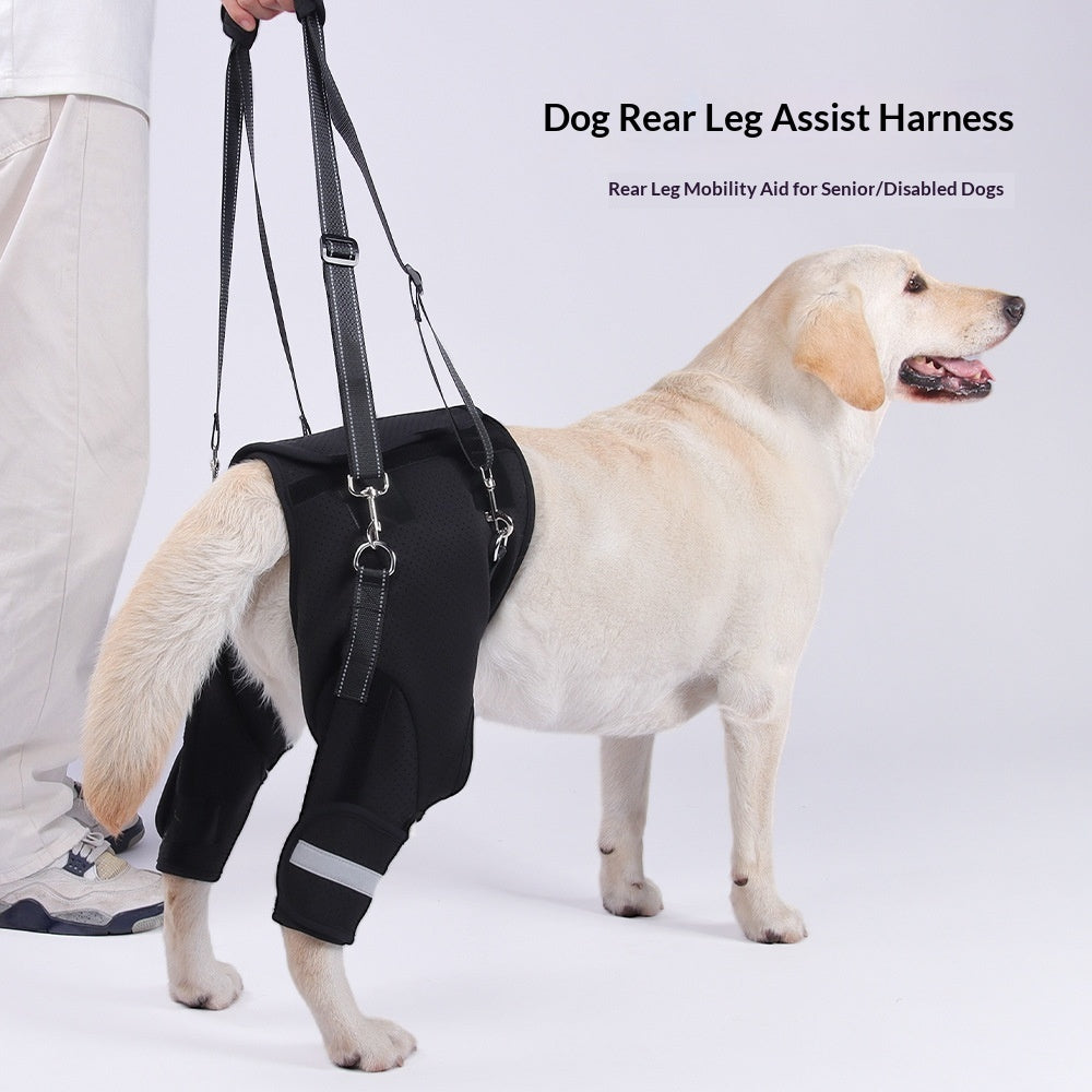 Rear-Leg Support Harness for Senior Dogs