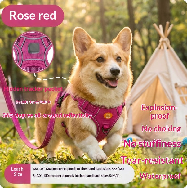 Reflective No-Pull Dog Harness & Leash Set