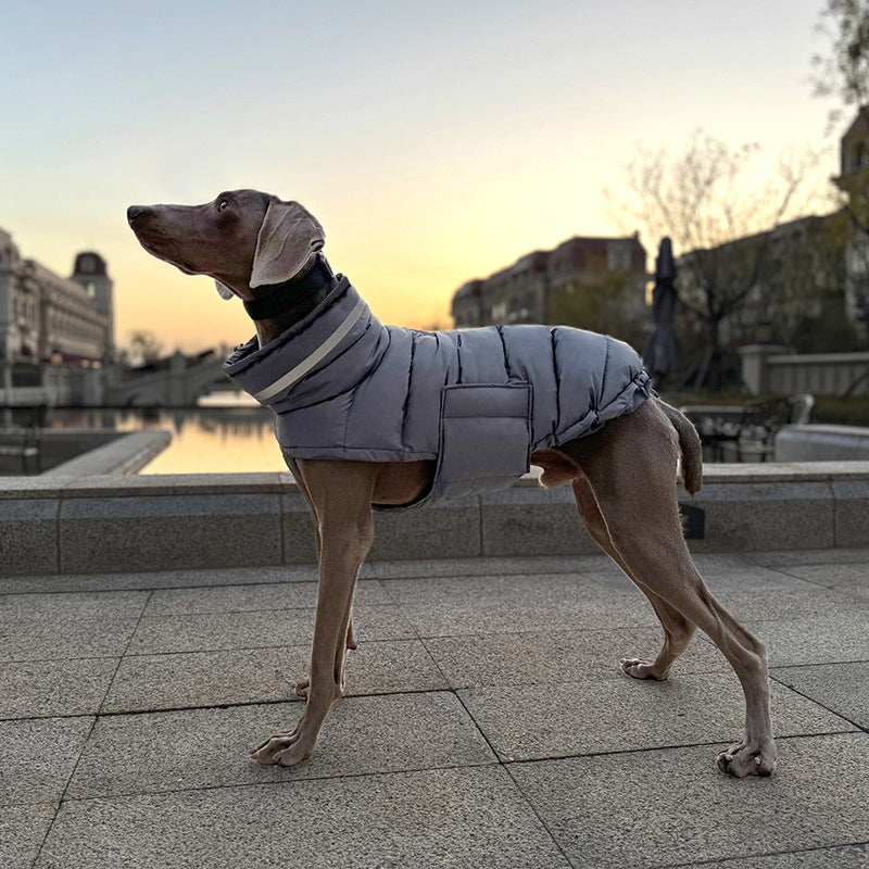 Winter Padded Pet Coat — Warm Jacket for Dogs & Cats