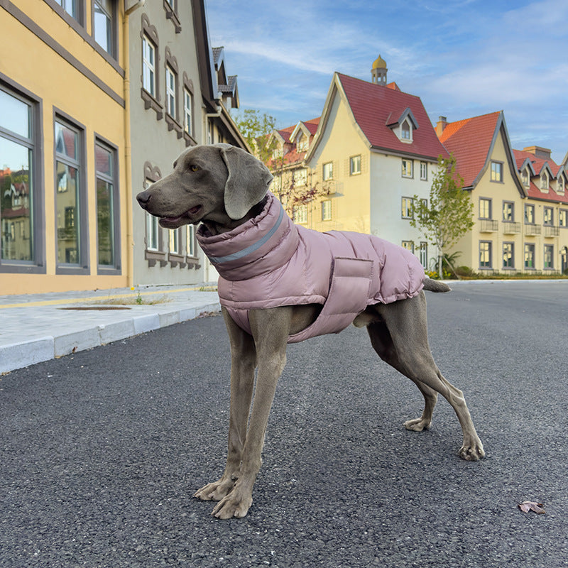Winter Padded Pet Coat — Warm Jacket for Dogs & Cats