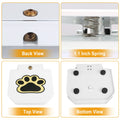 Step-Activated Outdoor Dog Water Fountain - Paw Pedal Dispenser