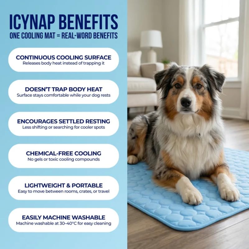 Pet Ice Silk Pad Summer Cooling For Sofa, Breathable