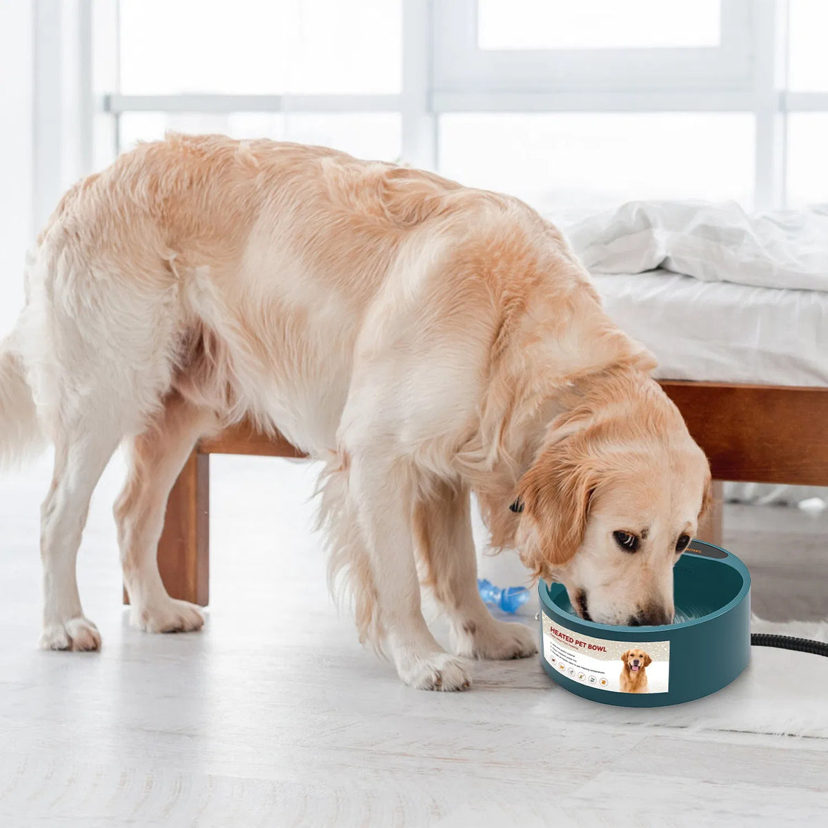 Heated Pet Water Bowl 74oz - Thermostatic Dog & Cat Water Dish