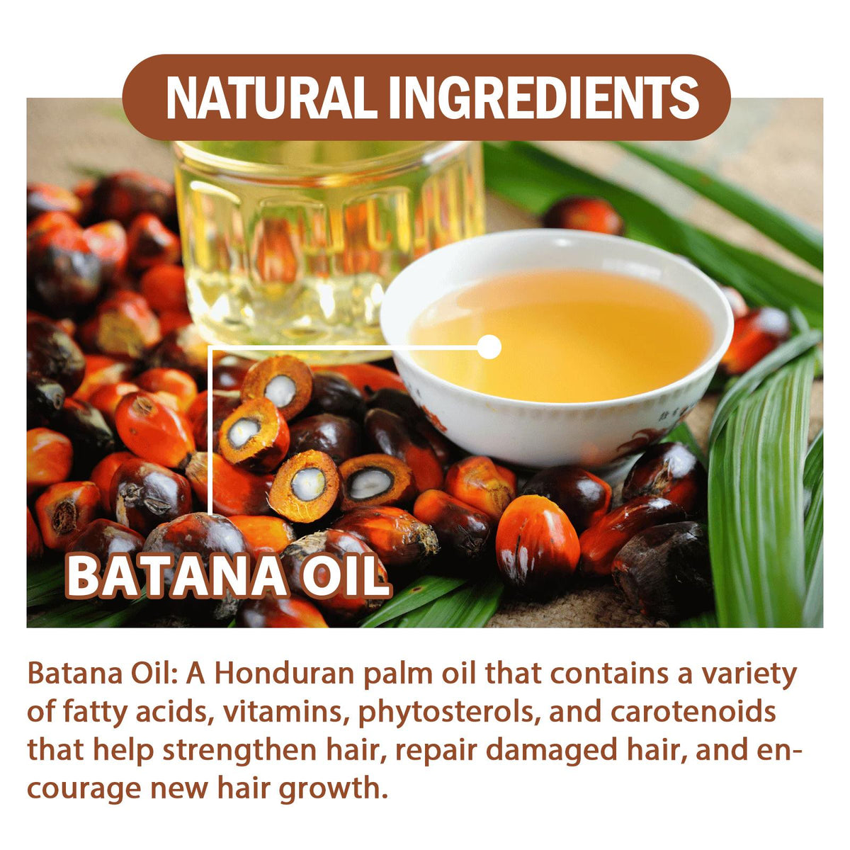 Batana Oil From Honduras Get Fuller, Thicker, Healthier Hair