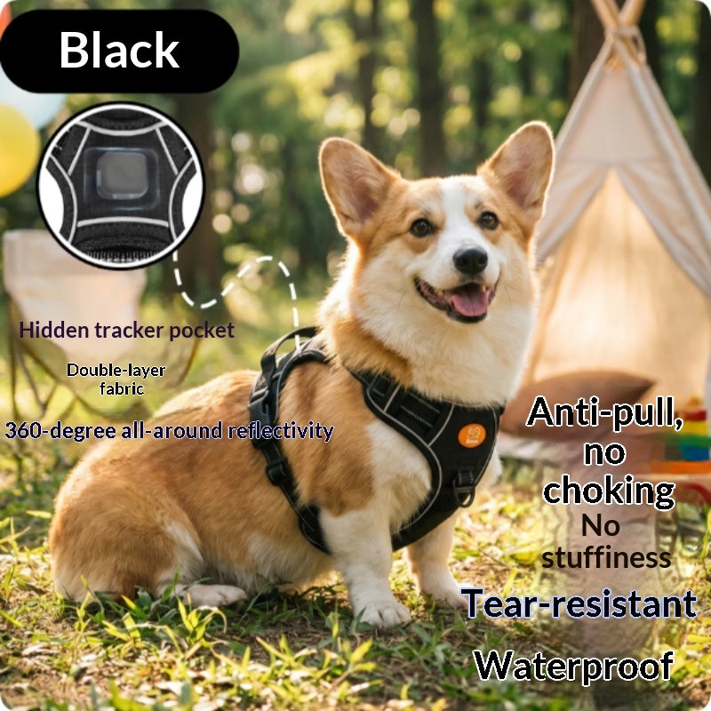 Reflective No-Pull Dog Harness & Leash Set