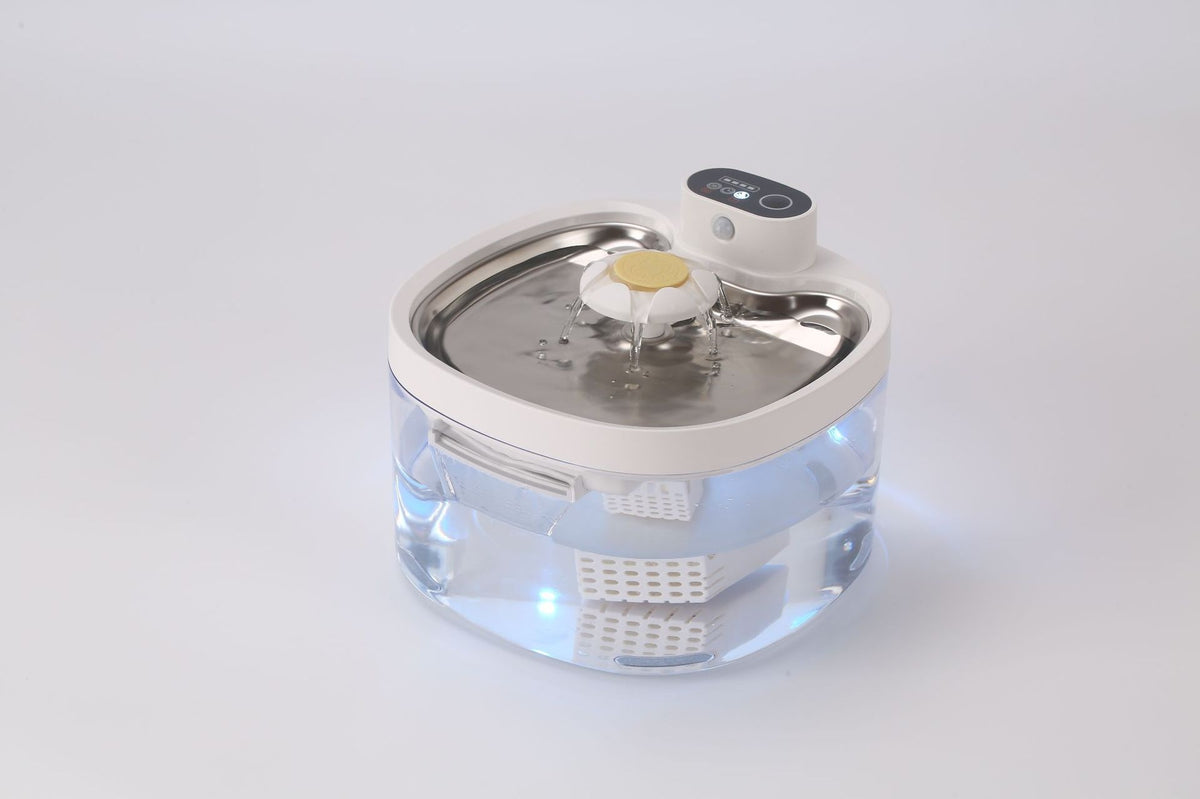 Flower Pet Water Fountain with Filter