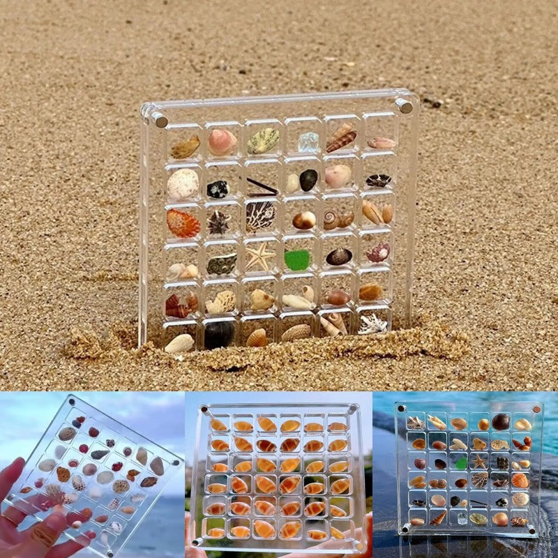 36 64 Grids Seashell Display Box Acrylic Magnetic Case
