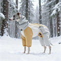 Waterproof Padded Ski-Style Dog Winter Jacket with Hood