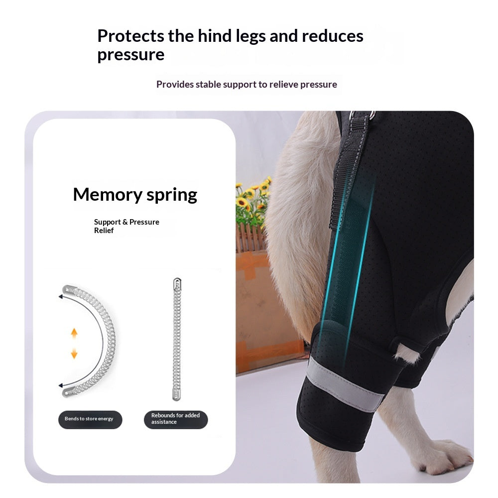 Rear-Leg Support Harness for Senior Dogs