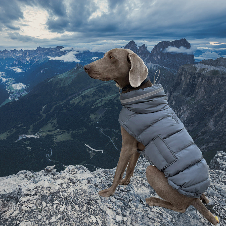 Winter Padded Pet Coat — Warm Jacket for Dogs & Cats