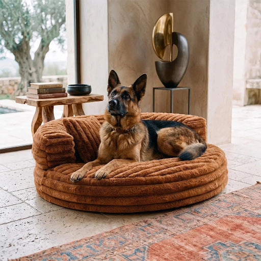 Washable Donut Pet Bed – Plush Cat & Dog Sofa